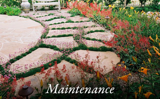 Landscape maintenance — garden stepping stones with flowering plants