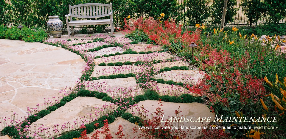 Landscape Maintenance — garden pathway with flowering plants